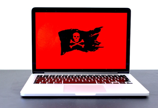 Read more about the article Ransomware Expressed: What It Is and How to Keep Safe